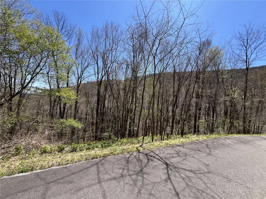 Lot 62 Bob Timberlake Drive, Boone, NC 28607 - #2