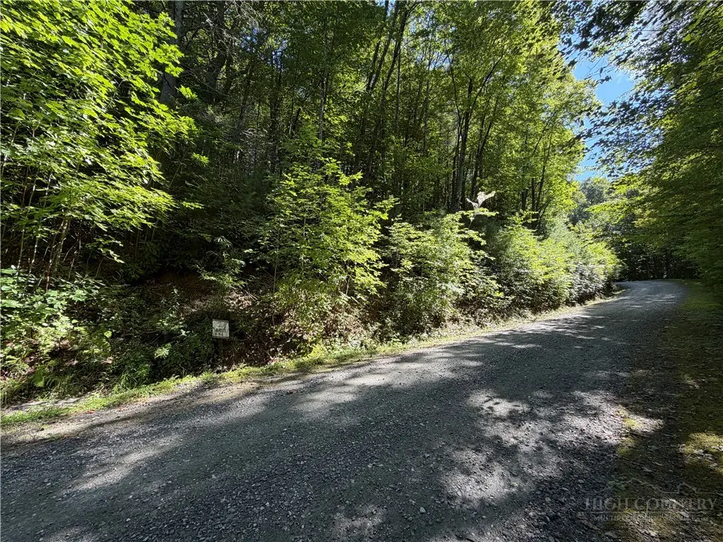 Lot 84 Cedar Road, Fleetwood, NC 28626 - #1