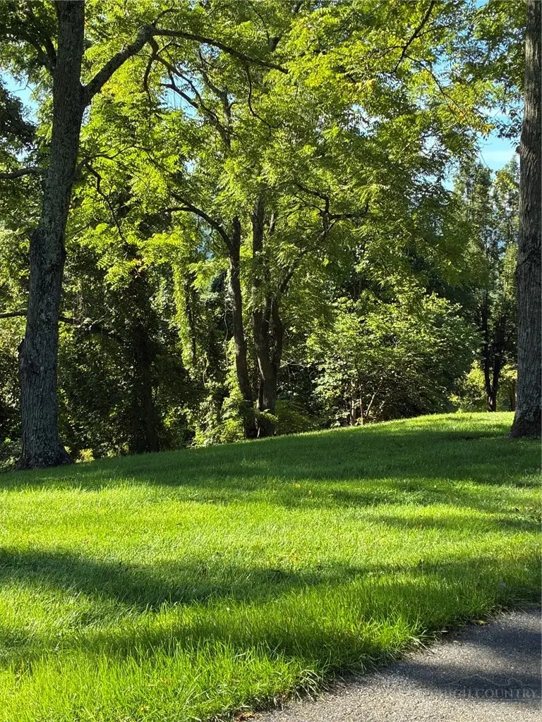 TBD Buckeye Ridge Run, Sparta, NC 28675 - #2