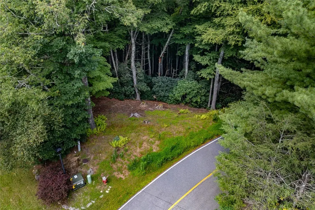 Lots 27 & 28 High Ridge Lane, Blowing Rock, NC 28605 - #1