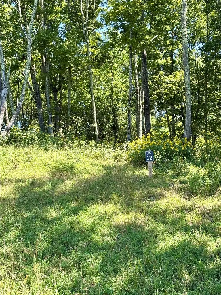 TBD High Forest Drive, Newland, NC 28657 - #2
