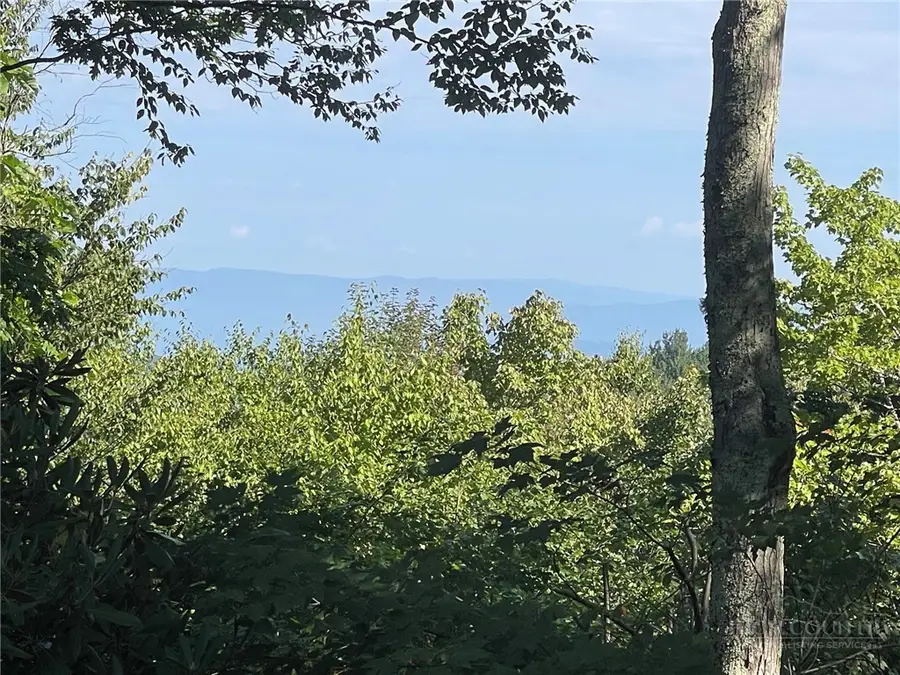 114 Mill Pond Lane, Beech Mountain, NC 28604 - #2