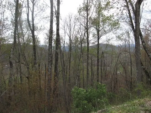 TBD Great Sky Drive, Todd, NC 28684 - #2