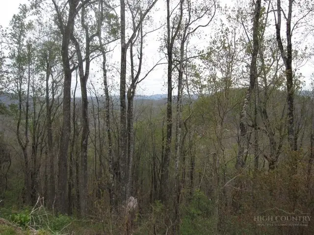 TBD Great Sky Drive, Todd, NC 28684 - #3