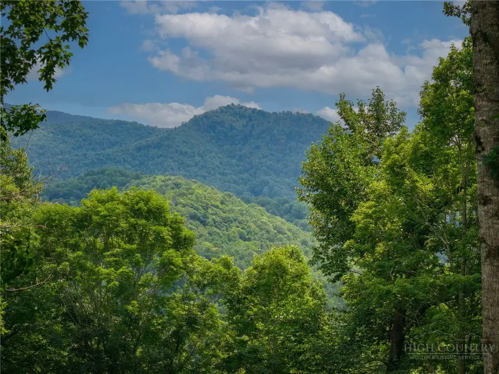 Lot 70 Bear Paw Road, Elk Park, NC 28622 - #1