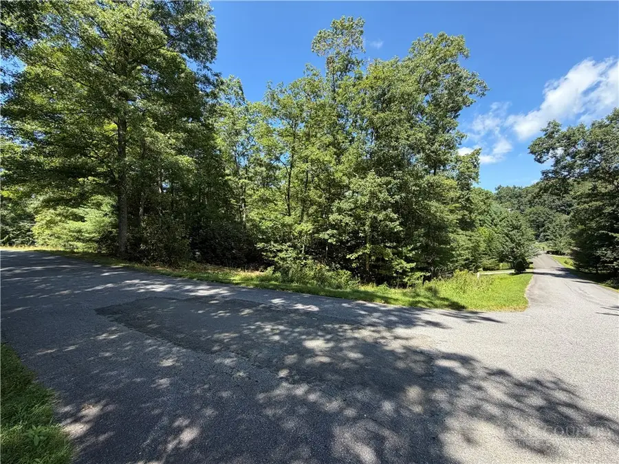 Lot 23 Liberty Landing Drive, Fleetwood, NC 28626 - #2