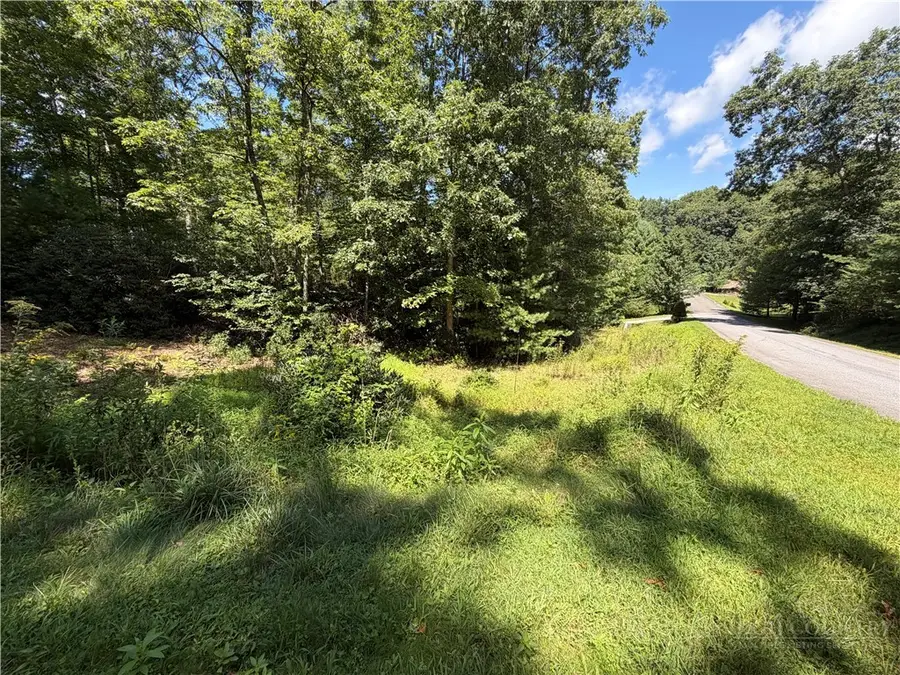 Lot 23 Liberty Landing Drive, Fleetwood, NC 28626 - #3