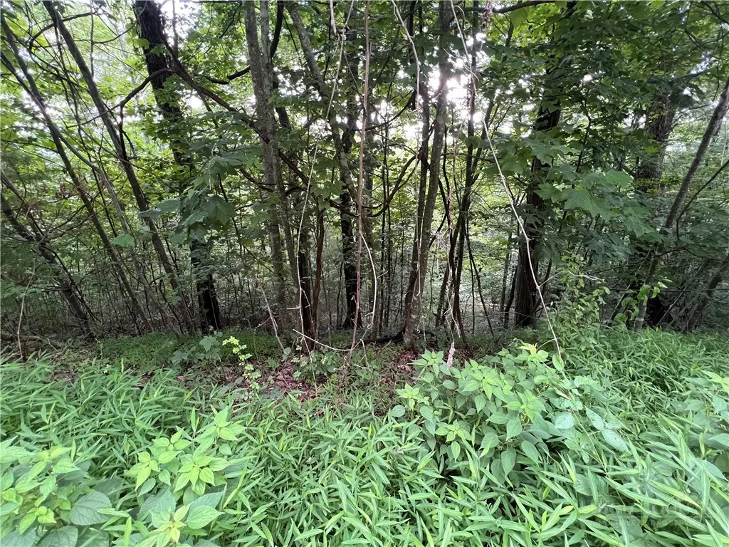 TBD River Stone Drive, Laurel Springs, NC 28644 - #1