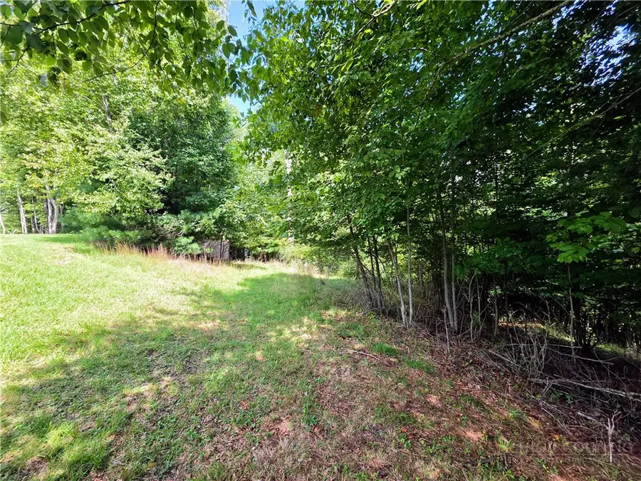 TBD Pine Springs Dr, Jefferson, NC 28640 - #2