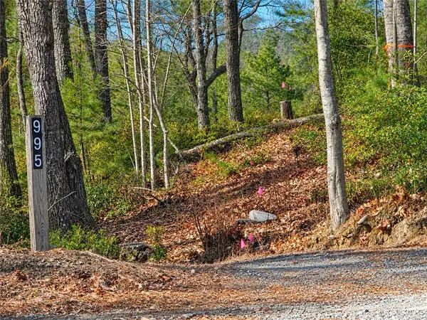1166 Deer Crossing Lane, Ferguson, NC 28624