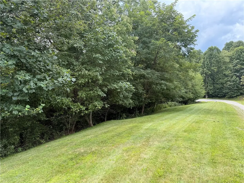 Lot 9 Ledgestone Lane, Boone, NC 28607 - #1