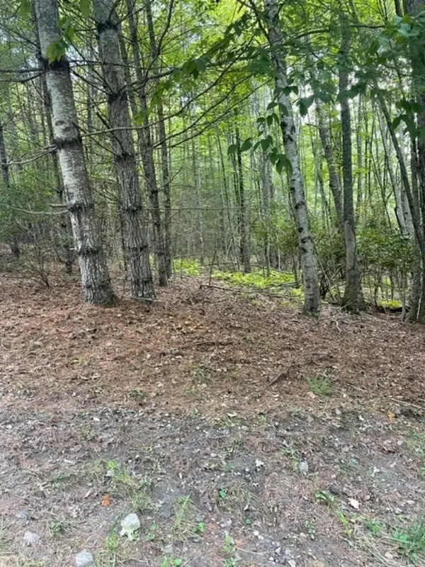 TBD LOT 23 Country Ridge Road, Jefferson, NC 28640