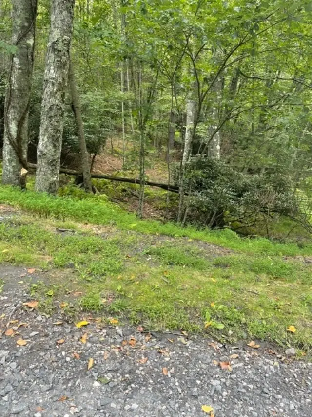 TBD LOT 23 Country Ridge Road, Jefferson, NC 28640 - #2