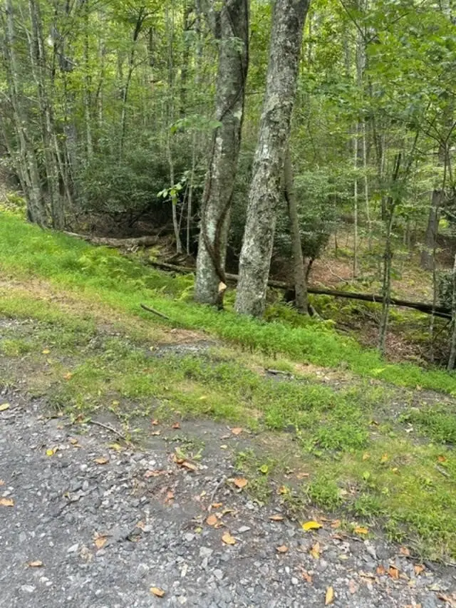 TBD LOT 23 Country Ridge Road, Jefferson, NC 28640 - #3