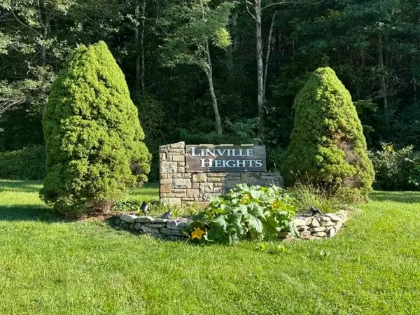TBD Linwood Lane, Newland, NC 28657