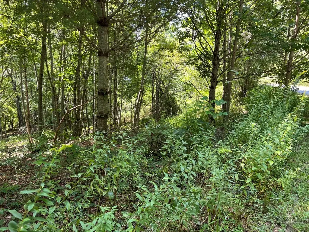 TBD Abigail Lane, Deep Gap, NC 28618 - #1