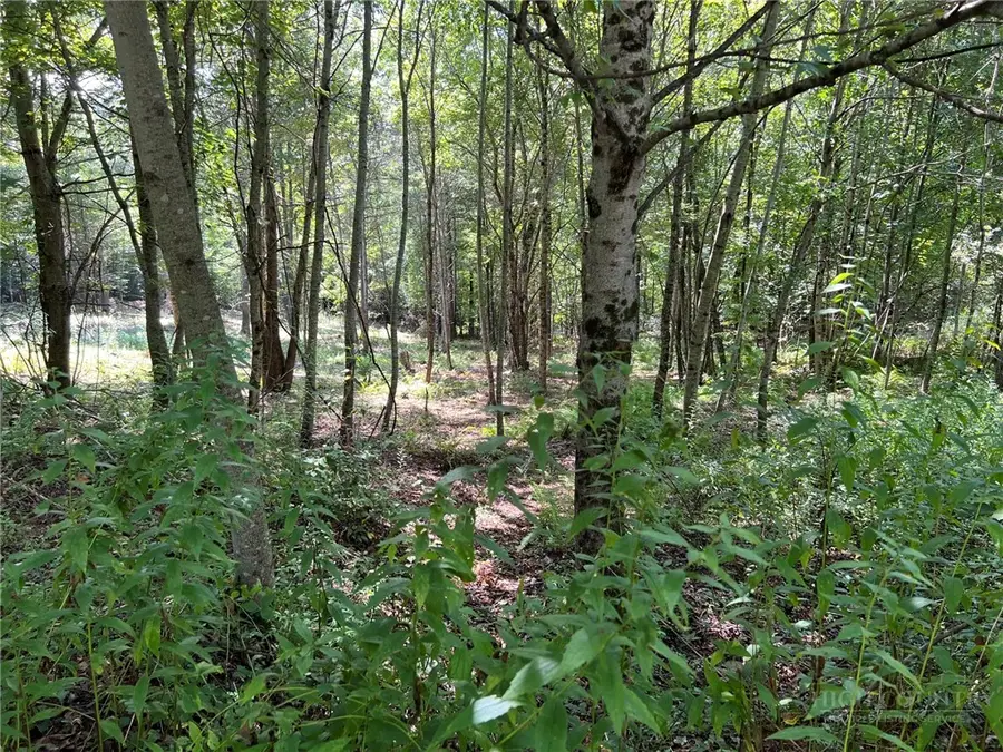 TBD Abigail Lane, Deep Gap, NC 28618 - #2