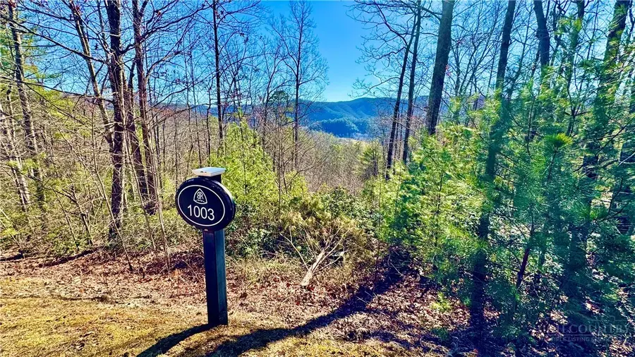 Lot 1003 Reynolds Parkway, Ferguson, NC 28624 - #2