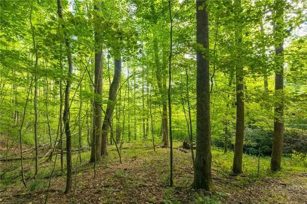 TBD Wasatch Drive, Boone, NC 28607