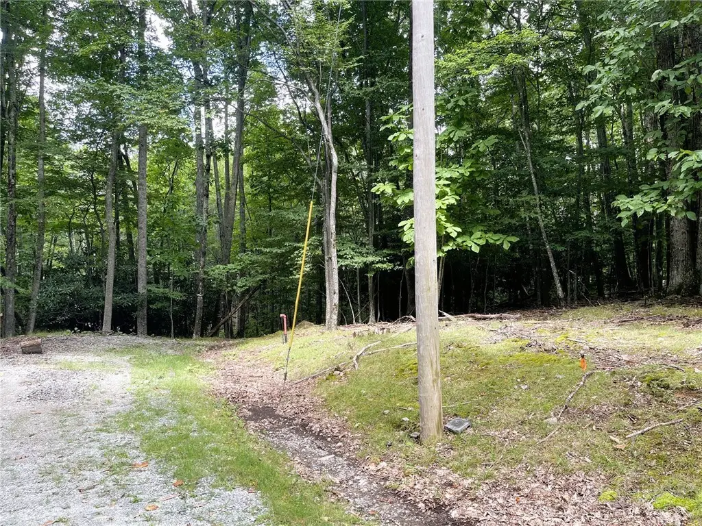 104 North Hickory Lane, Beech Mountain, NC 28604 - #1