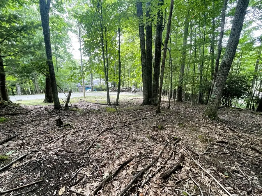 104 North Hickory Lane, Beech Mountain, NC 28604 - #2