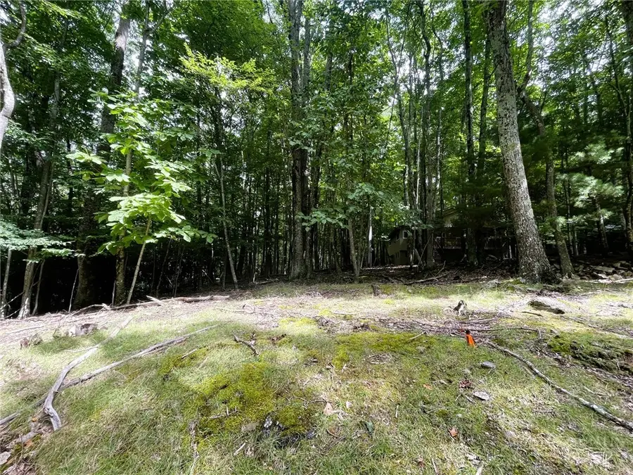 104 North Hickory Lane, Beech Mountain, NC 28604 - #3