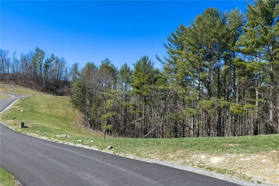 TBD (Lot 52) Clouds Rest Drive, Elk Park, NC 28622 - #2