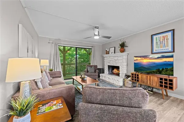 100 Lower Holiday Lane #C207, Beech Mountain, NC 28604
