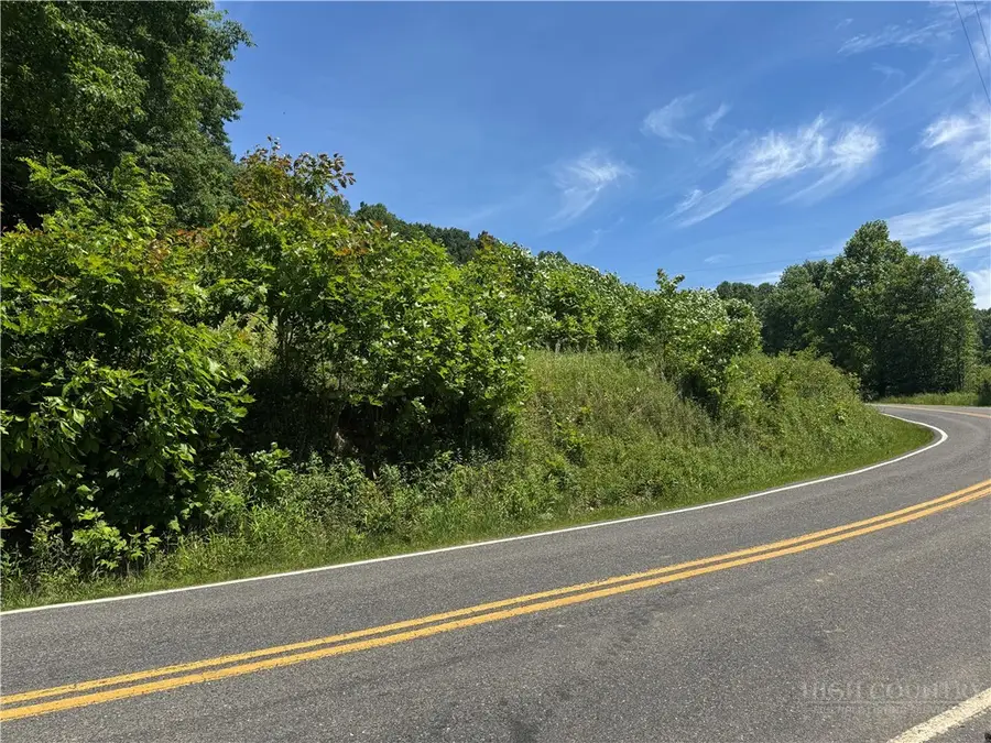 tbd Peak Road, Creston, NC 28615 - #2