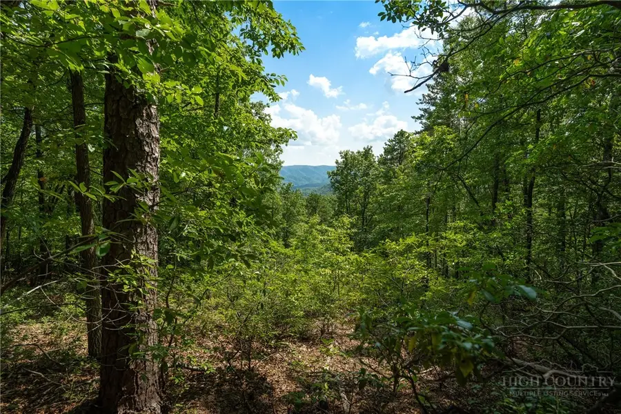 1303 Reynolds Parkway, Boone, NC 28607 - #2