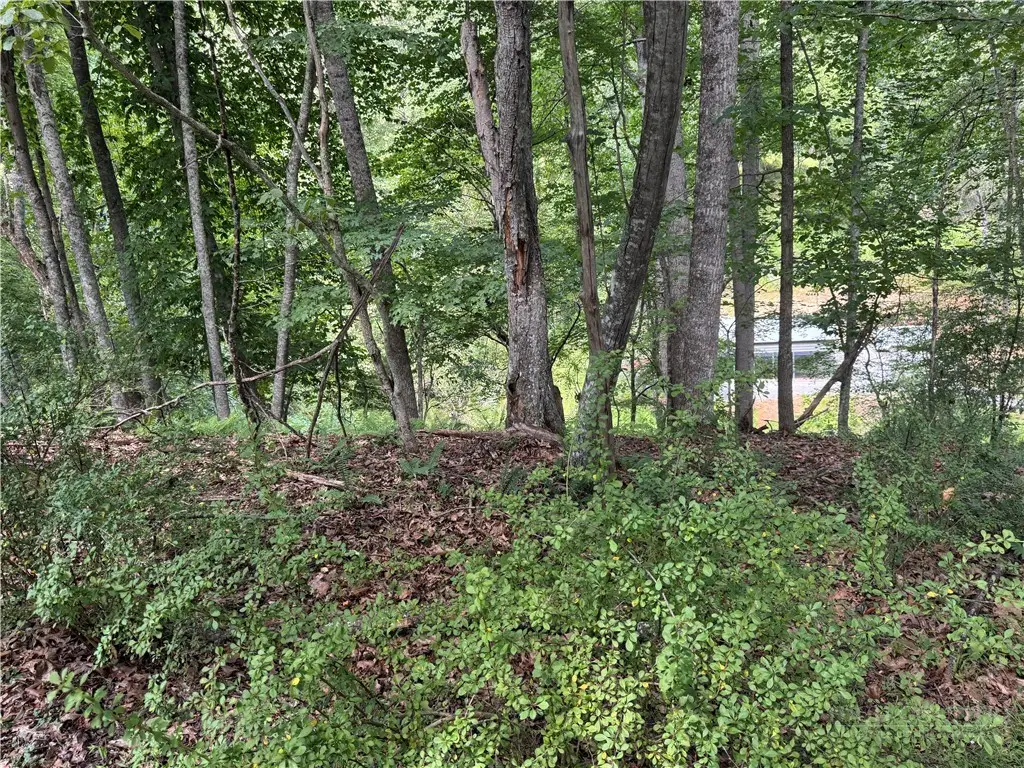 Lot 56 Happy Eden Drive, Piney Creek, NC 28631 - #1