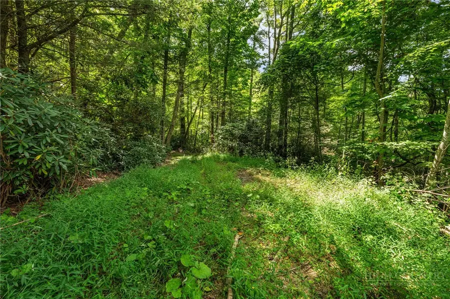 L11 Woodlake Loop, Elk Park, NC 28622 - #2
