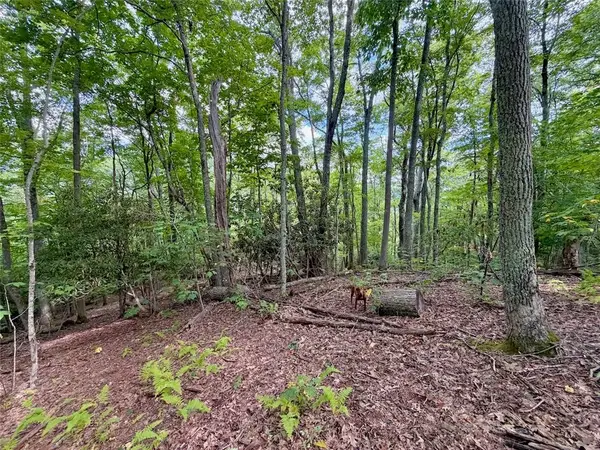 TBD Galax Lane, Banner Elk, NC 28604
