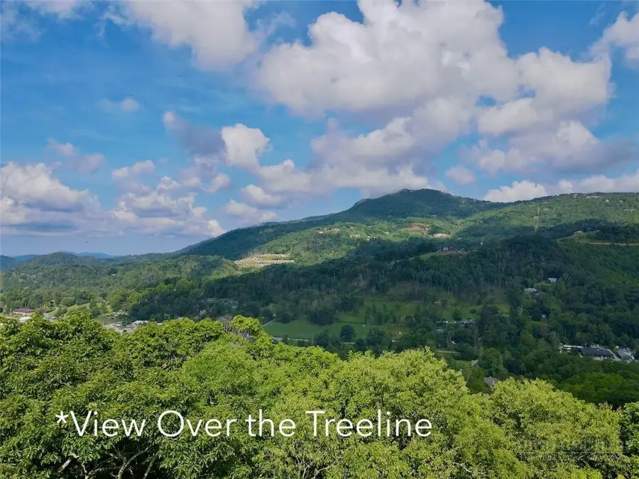TBD Galax Lane, Banner Elk, NC 28604 - #3