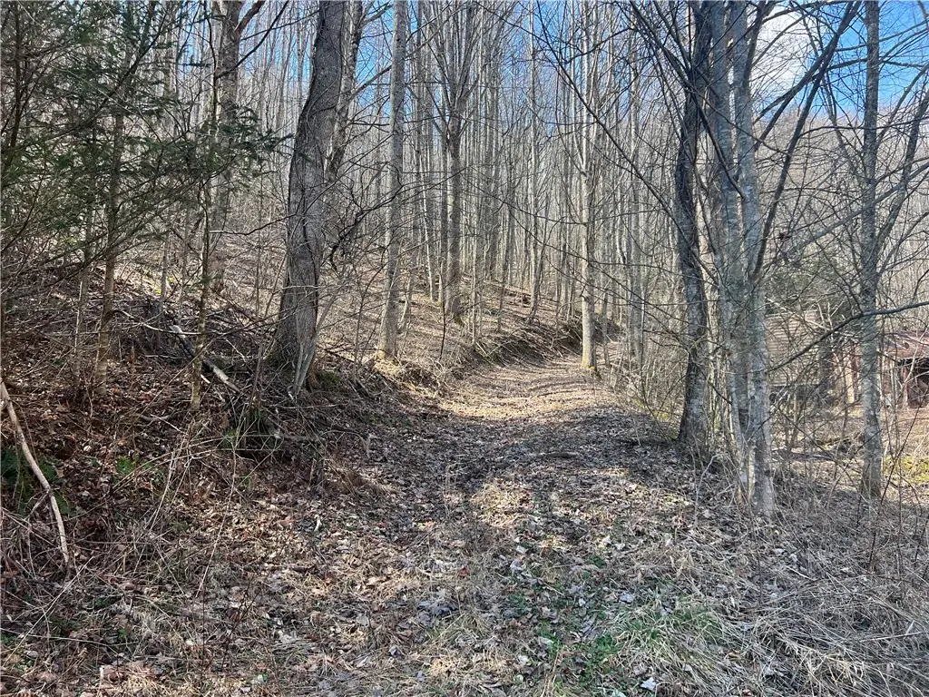 TBD Hart Road, Lansing, NC 28643 - #1