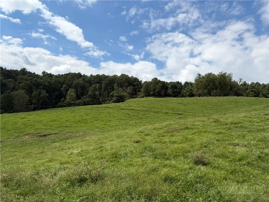 TBD Burnt Hill Road, Laurel Springs, NC 28644 - #1