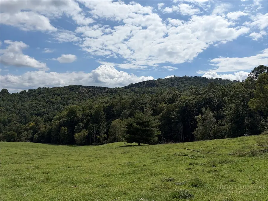 TBD Burnt Hill Road, Laurel Springs, NC 28644 - #3
