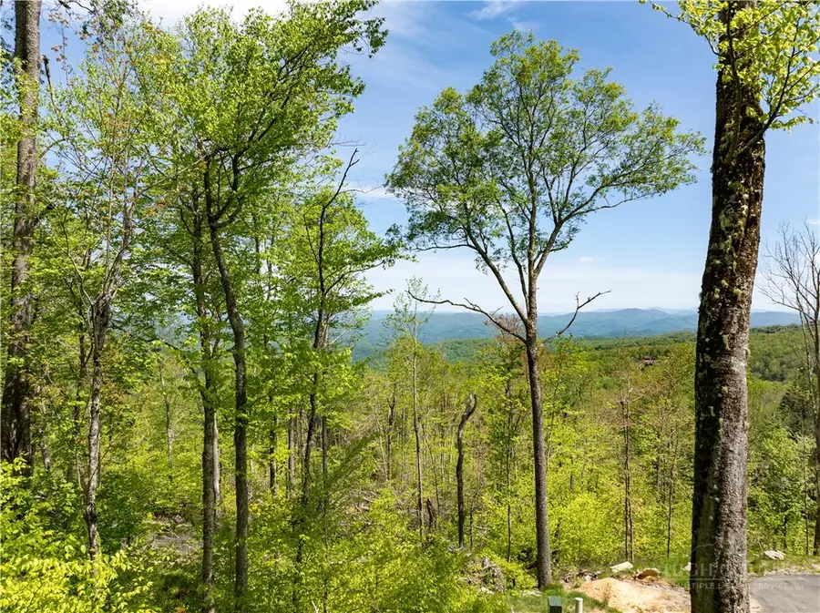 ES76 Lands End Trail, Banner Elk, NC 28604 - #2