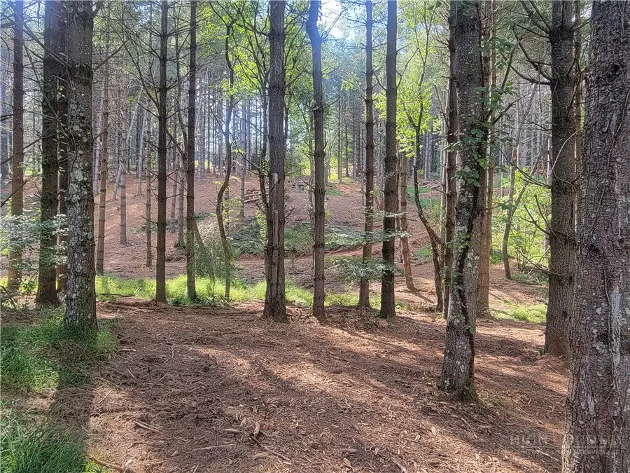 TBD Allen Road, Laurel Springs, NC 28644 - #2