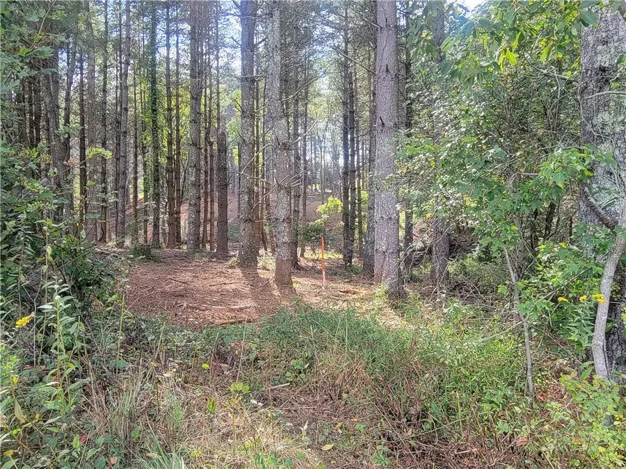 TBD Allen Road, Laurel Springs, NC 28644 - #3