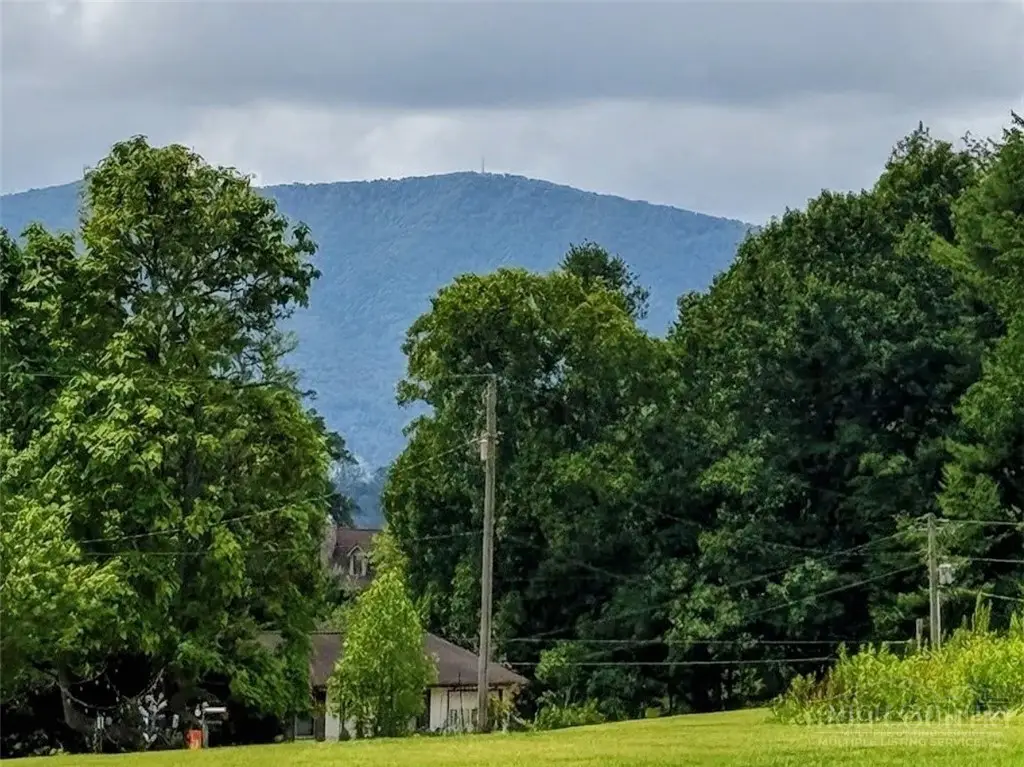 TBD Lot 2 Flat Rock Farm Road, Crumpler, NC 28617 - #1