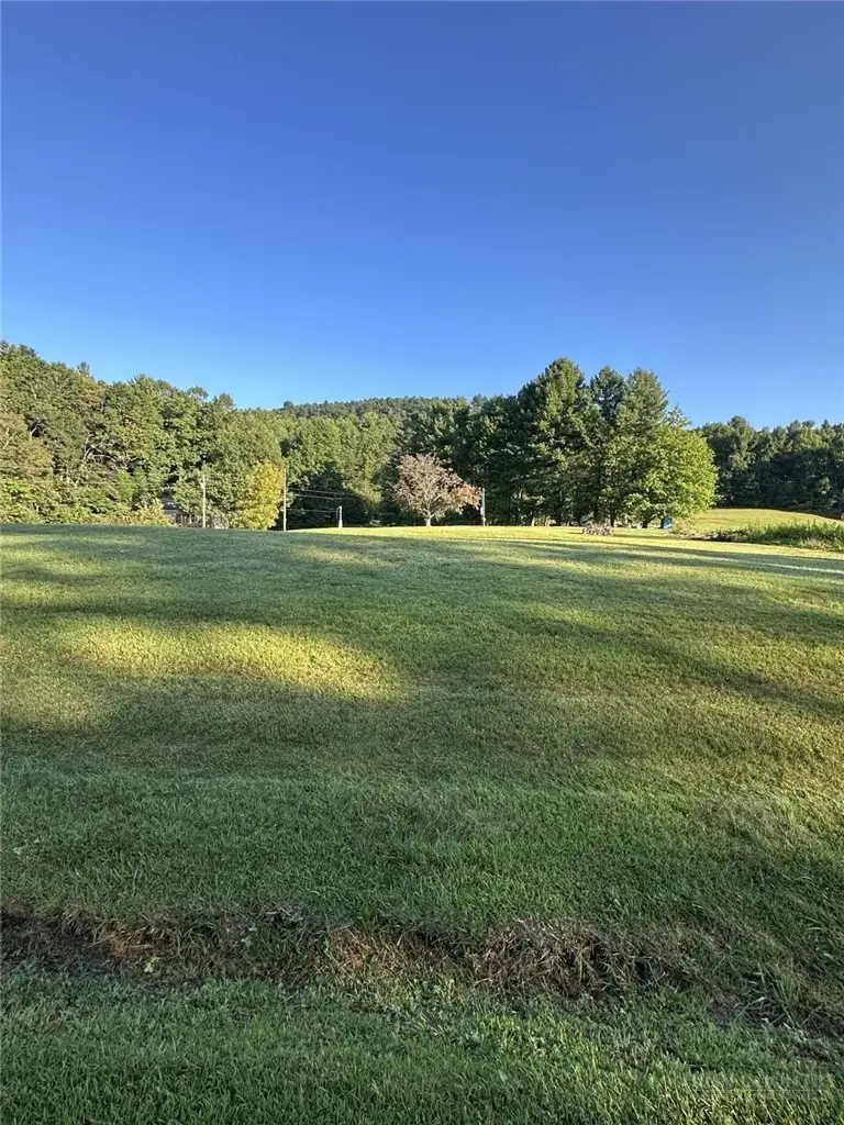 TBD Lot 2 Flat Rock Farm Road, Crumpler, NC 28617 - #3
