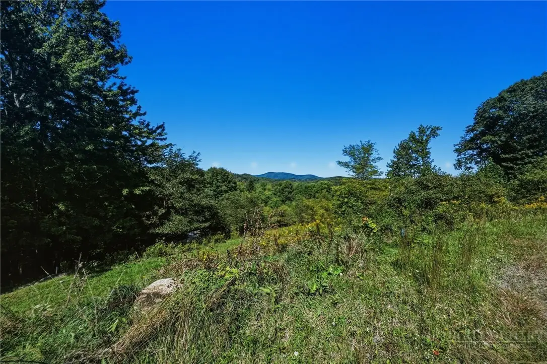 1125 High Valley Overlook, Banner Elk, NC 28604 - #1