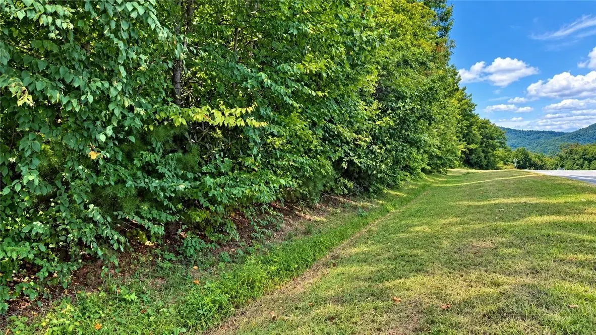 TBD Blowing Rock Boulevard, Lenoir, NC 28645 - #1