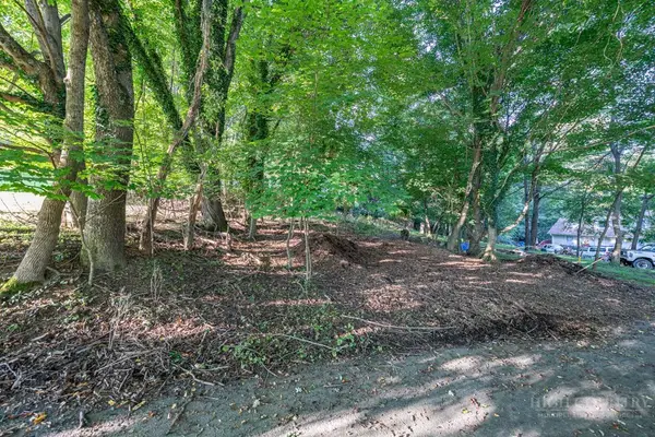 TBD Bingham Street, Boone, NC 28607
