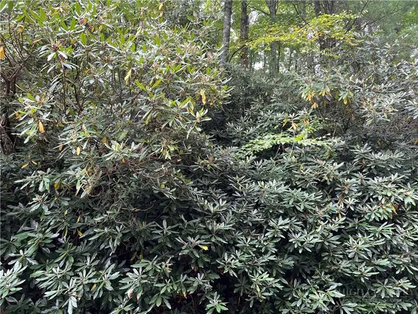 Lots 22 & 23 High Ridge Lane, Blowing Rock, NC 28605
