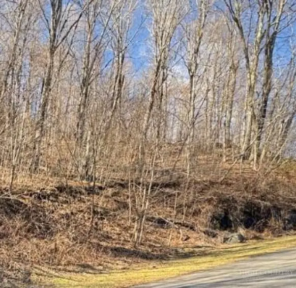 Lot 32 Jewel Weed Trail, Newland, NC 28657 - #1