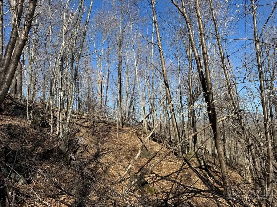 Lot 32 Jewel Weed Trail, Newland, NC 28657 - #2