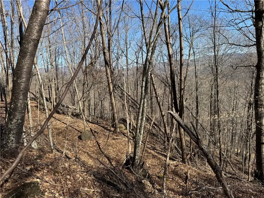 Lot 32 Jewel Weed Trail, Newland, NC 28657 - #3