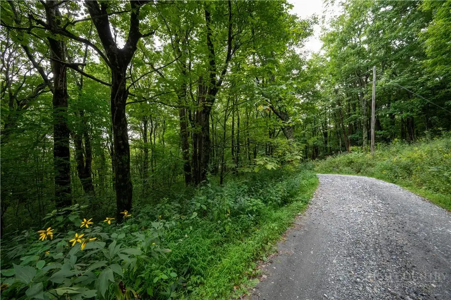 Lot 13 Wild Apple Drive, Blowing Rock, NC 28605 - #2